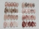 10月 季節限定デザイン￥8600～