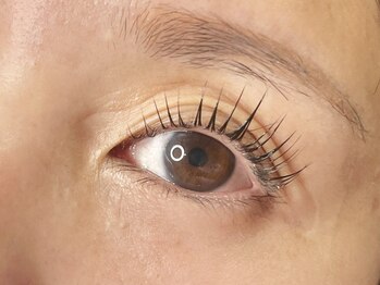 ラシク ゼロ 草加駅前(Lashiku Zero)/パリジェンヌラッシュリフト