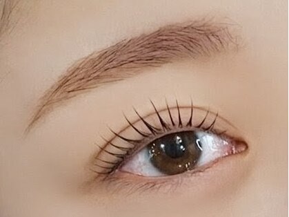 ルルドレッサー バイ シャット(LULU Dresser by chatte)の写真