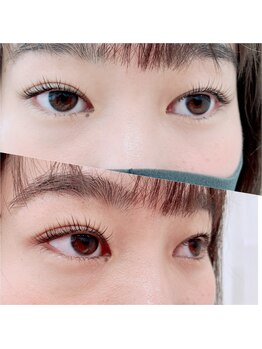 ルピナス(Lupinus)/ラッシュリフト