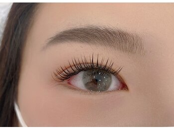 リノ(Lino)/フラットラッシュ