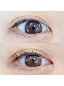 プルメリアラッシュ(PlumeriaLash)/ビューラー式まつげパーマ