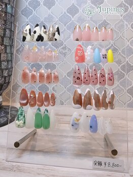 ルピネス(Lupines)/2025年6月～定額design