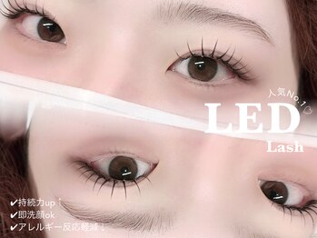 アイラッシュ モトカ(Motoka)/LEDフラットラッシュ