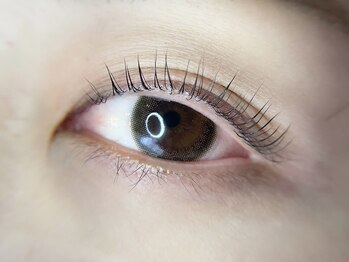 アイラッシュサロンラコタ 池袋東口店(RACOTA)/ラッシュリフト