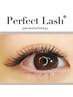 【リピートNO.1】綺麗と言われる♪Perfect Lash100束☆