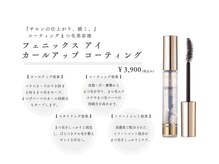 フェニックスコーティング☆