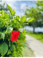 シロ(shiro) 旅行好きです!沖縄と軽井沢が大好きです!