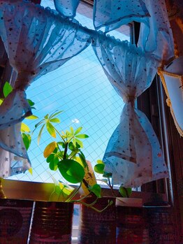 アボット キニー(Abbot Kinney)/内観