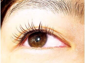 セレビアイ 星が浦店/ 目の形に合ったデザインに!