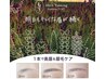 美眉スタイリングワックス+ティントペン (¥3300のティントペン付き!)