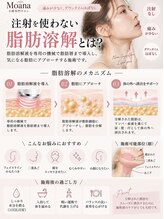 モアナ(Moana)&nbsp;脂肪燃焼剤 導入