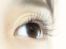 アディアンドラッシュ 柏本店(Adii & Lash)/シングルエクステ(マツエク)