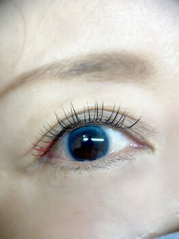 ムニ(muni)/LEDフラットラッシュ140本