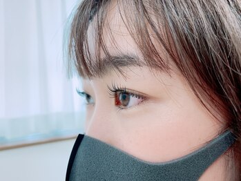 ルピナス(Lupinus)/ラッシュリフト