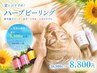 夏の毛穴・皮脂・ニキビに◎ハーブピーリング（90分）16,500→8,800