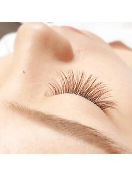 やまとなでしこ 中野店/オールブラウン120本or120束