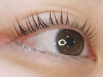 ベリール 南平岸店(Be'Leel)/立ち上げカール