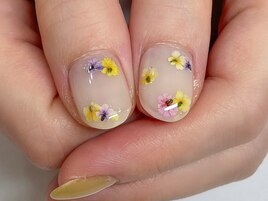 定額＊押し花＊パラジェル