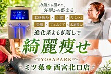 ヨサパーク ミツバ(YOSA PARK)