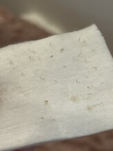 ジェリー(JERRY)/小さな小さな