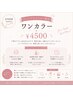 ジュニアネイリスト限定｜【ハンド】ワンカラー特別特価 ￥4500