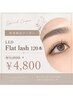 【9月松尾限定】LEDフラットラッシュ120本 ￥5,800→