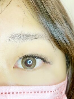 ルピナス(Lupinus)/LEDボリュームラッシュ400本