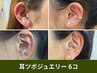 耳つぼジュエリー【6個まで】パーツが選べる耳ツボ！キャラパーツ有