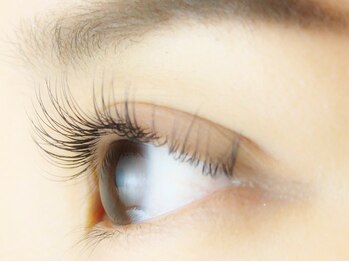 アディアンドラッシュ 柏本店(Adii & Lash)/シングルエクステ(マツエク)