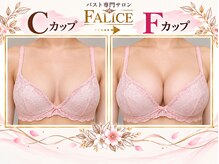 フェリーチェバスト 姫路店(FALICE)の雰囲気（大きさ/左右差/垂れ胸/痩せ型..など何でもご相談下さい◎）