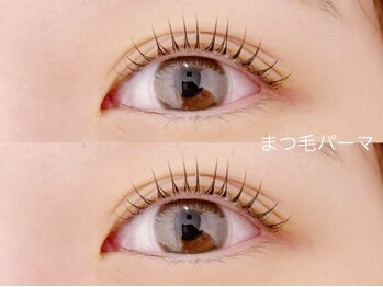 リノ(Lino)/根元から立ち上げ