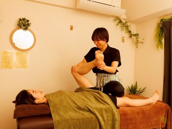 モミノキ(mominoki)/