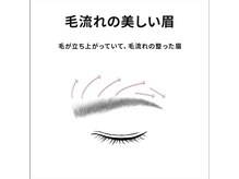 ナプラ(Naplu)/HBL ハリウッドブロウリフト神辺