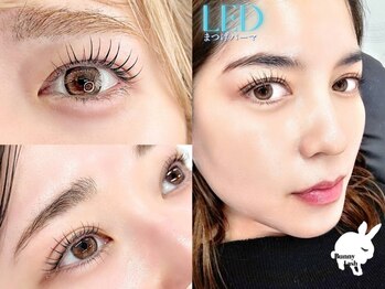 バニーラッシュ(Bunny Lash)の写真/モチ◎！話題のLEDまつげパーマ登場♪韓国ロッドやデザインマツパ&パリジェンヌ★束感まつげパーマも♪
