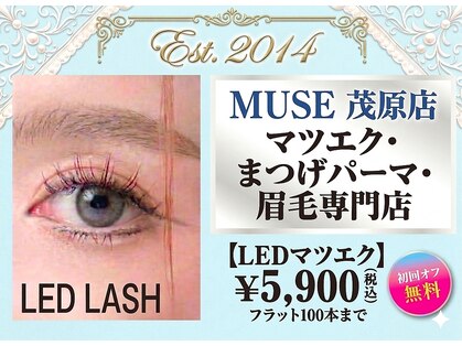 まつ毛エクステ専門店 ミューズ 茂原店(MUSE)の写真