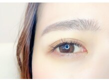 ルピナス(Lupinus)/LEDフラットラッシュ120本