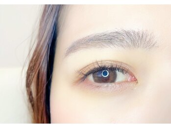 ルピナス(Lupinus)/LEDフラットラッシュ120本