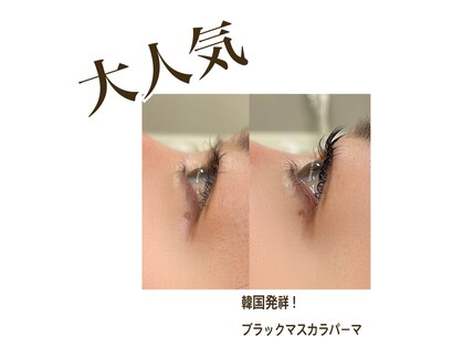 アデージョ(Adejio)の写真