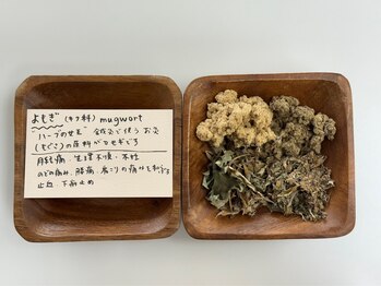 パーソナルサロンS/よもぎの色んな姿