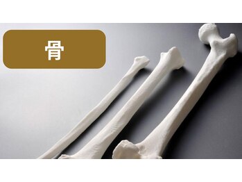 オステオパシー整体院 テツヤズ/骨