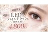【石井限定】LEDバインドラッシュ90分付け放題♪￥5800円