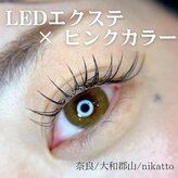 ニカット(nikatto)