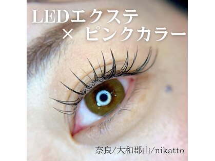 ニカット(nikatto)の写真
