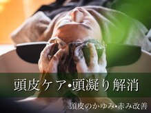 美と癒やしの部屋
