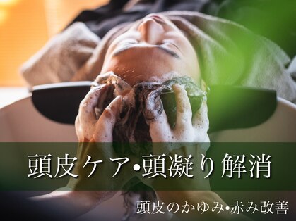 美と癒やしの部屋の写真