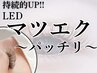【LEDエクステ】フラット/カラエクあり/160本¥7900～