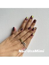 ネイル ウサミミ(Nail UsaMimi)/オーロラネイル