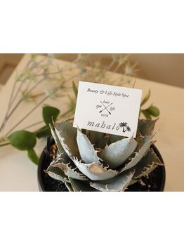 まつげのお悩み解決サロン