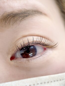 ムニ(muni)/LEDフラットラッシュ100本